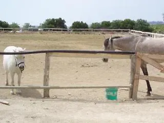 Colle Doro 2*